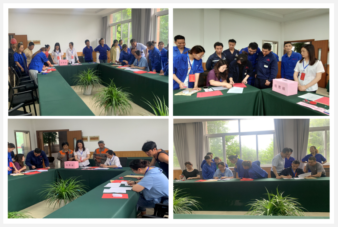 参与选举，，，，，，，，履行公民职责