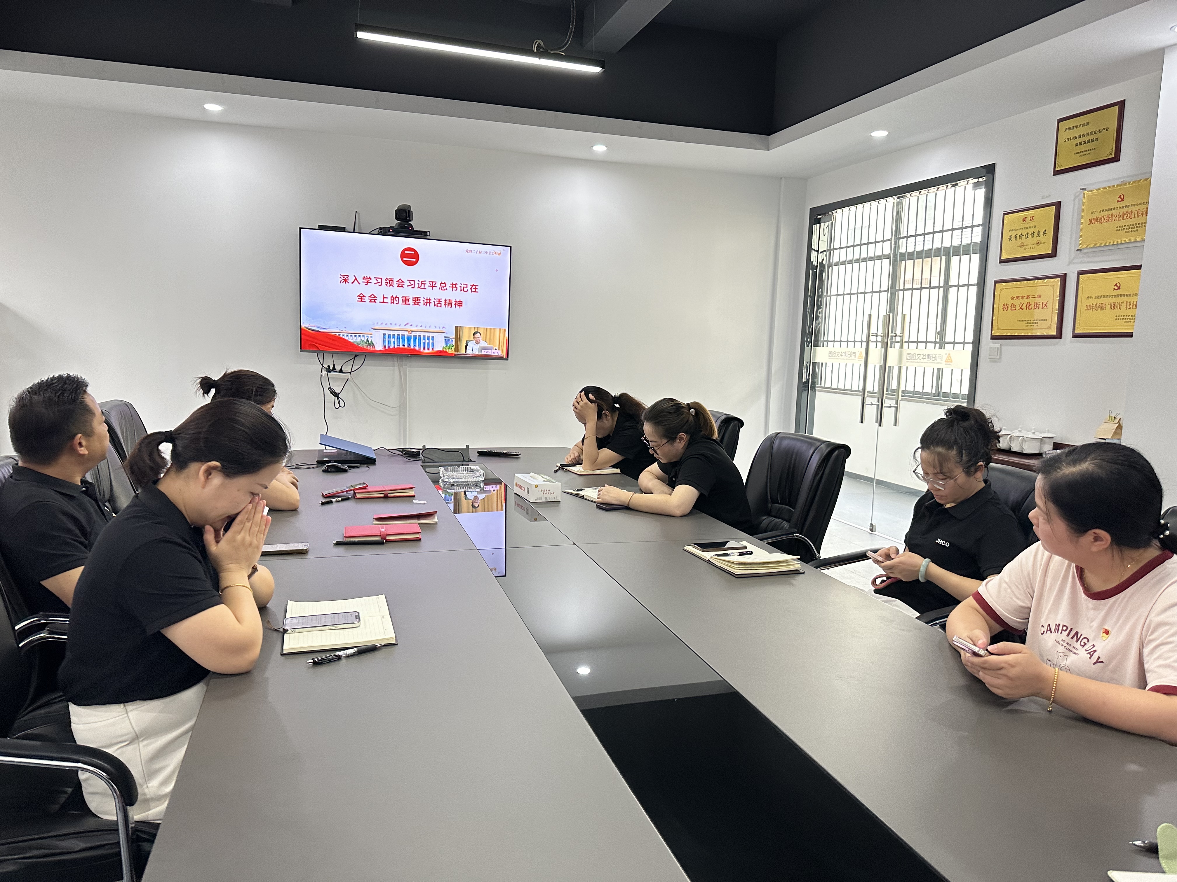庐阳尊龙凯时文创园党支部积极组织收看“举旗帜·送理论”精神示范宣讲活动